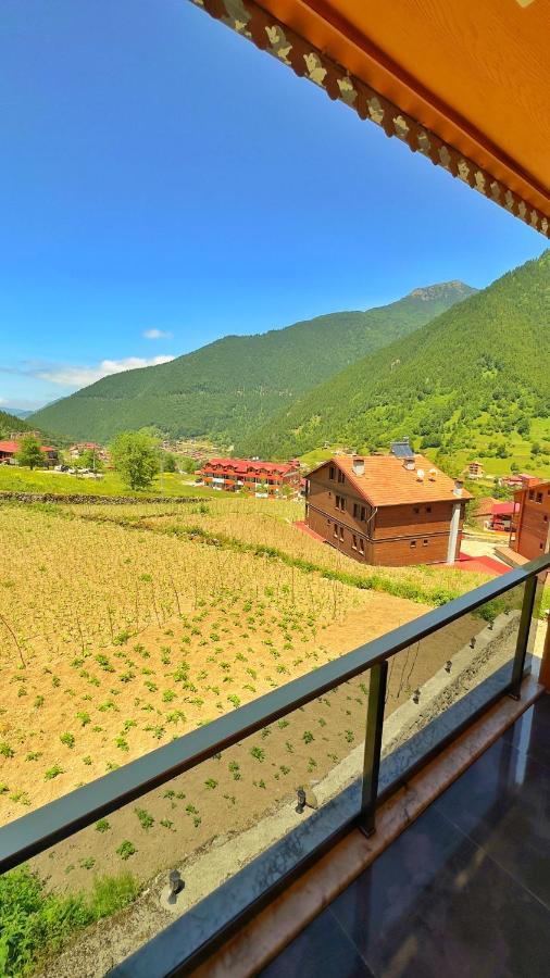 Auga Apart Uzungol Bagian luar foto